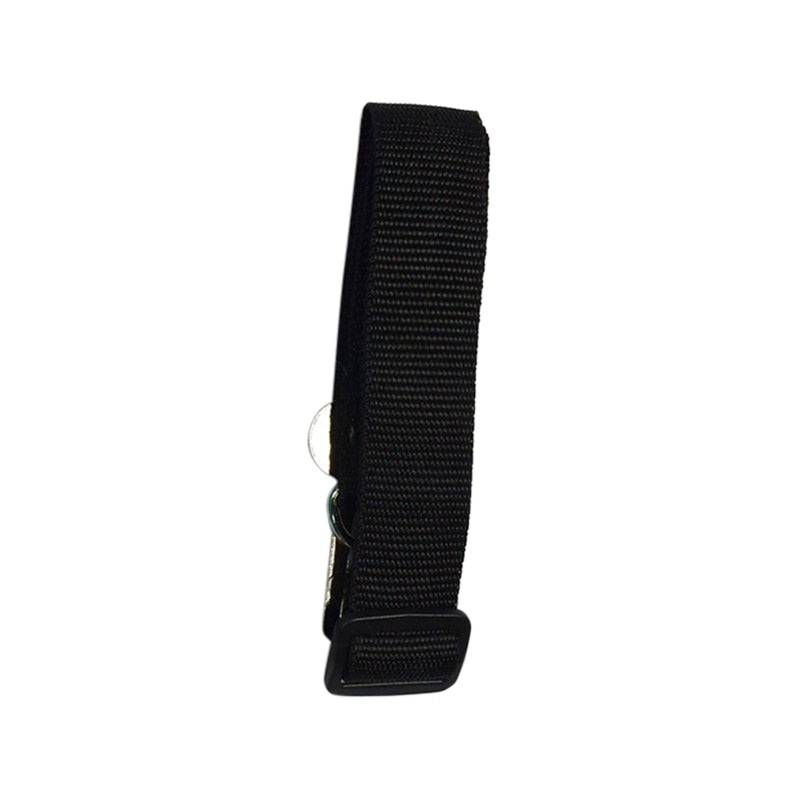 Copy of Seat Belt