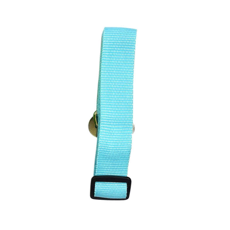 Copy of Seat Belt