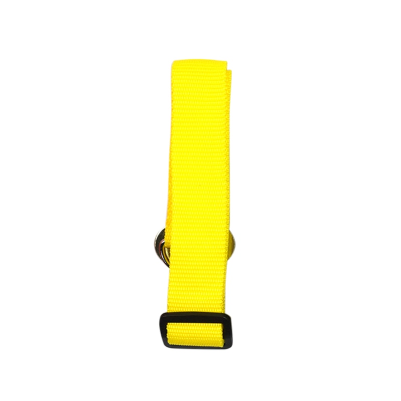 Copy of Seat Belt