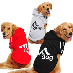 Pawfect Hoodie