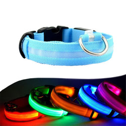 LED Collar