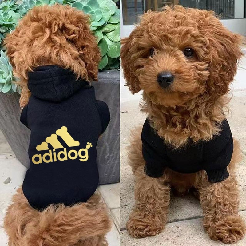 GOLDEN ADIDOG