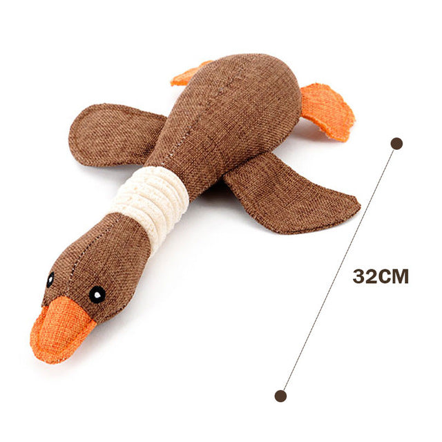 Duck Toy