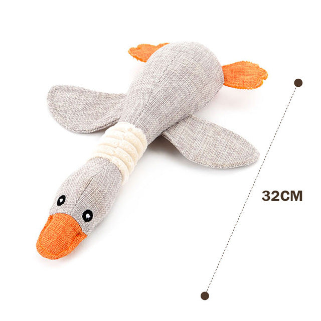 Duck Toy