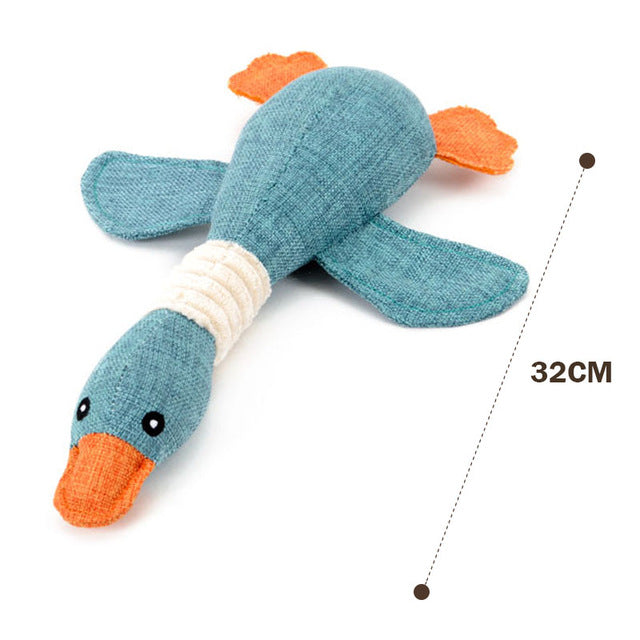 Duck Toy