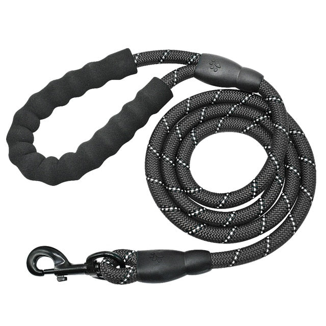 Reflective Leash