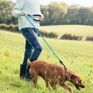 Reflective Leash