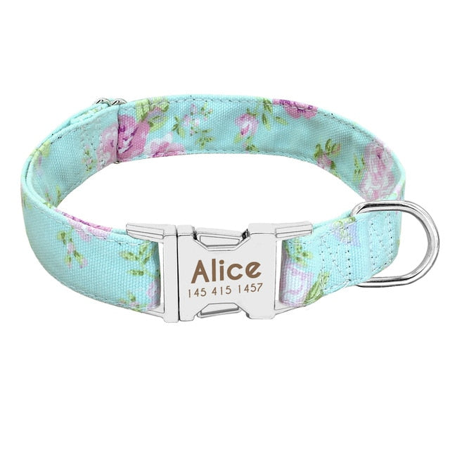 Alice Collar